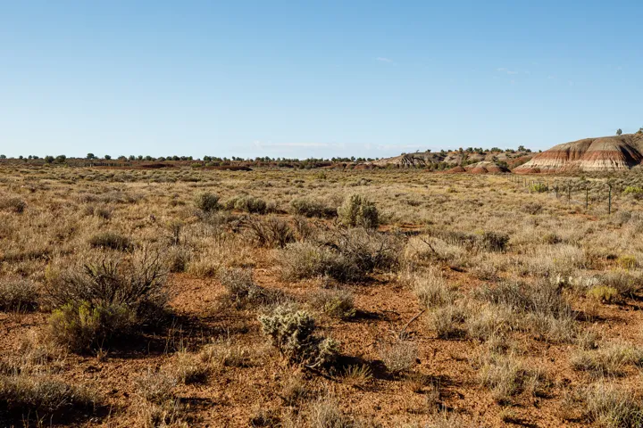 Expansive open land featuring diverse desert vegetation and natural terrain