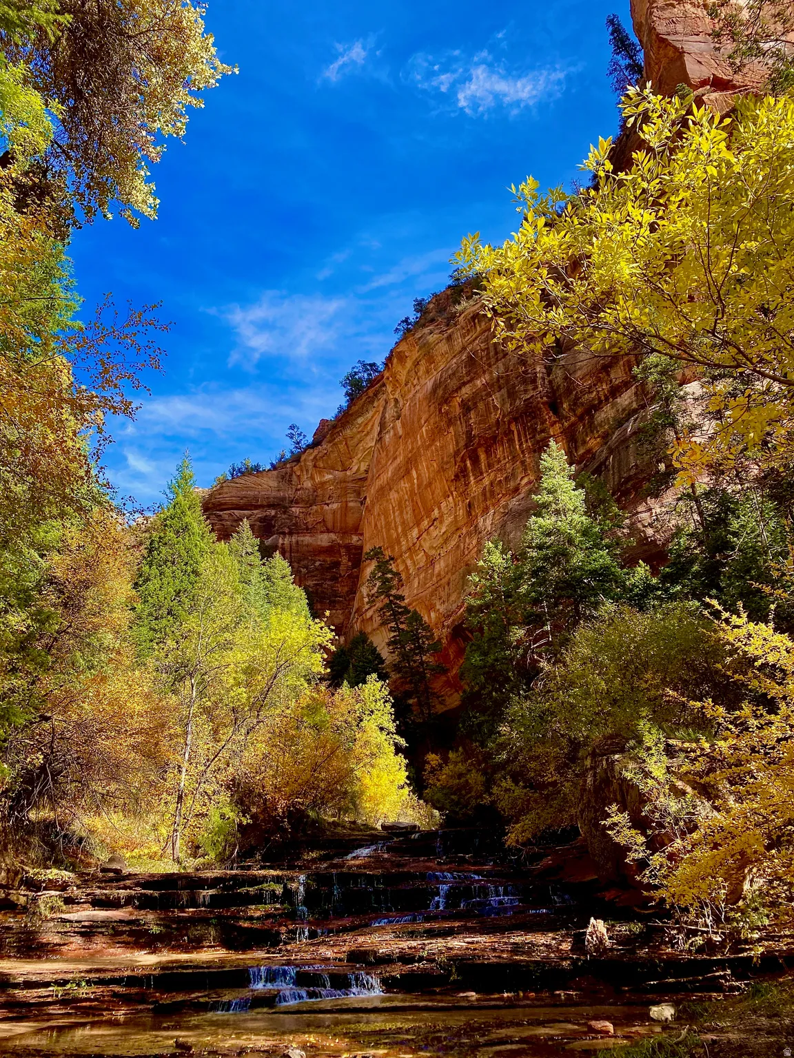 Zion National Park