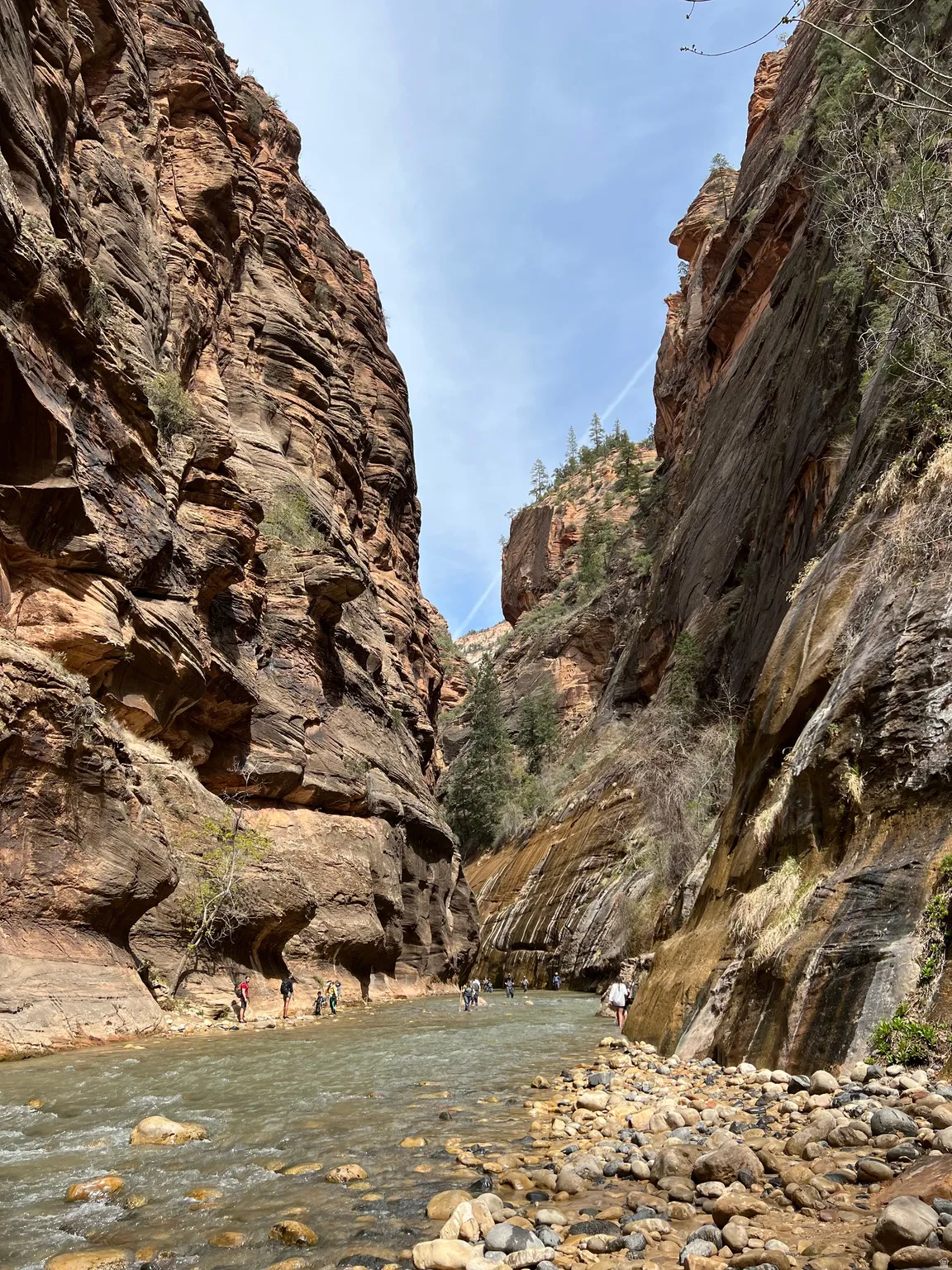 Zion National Park