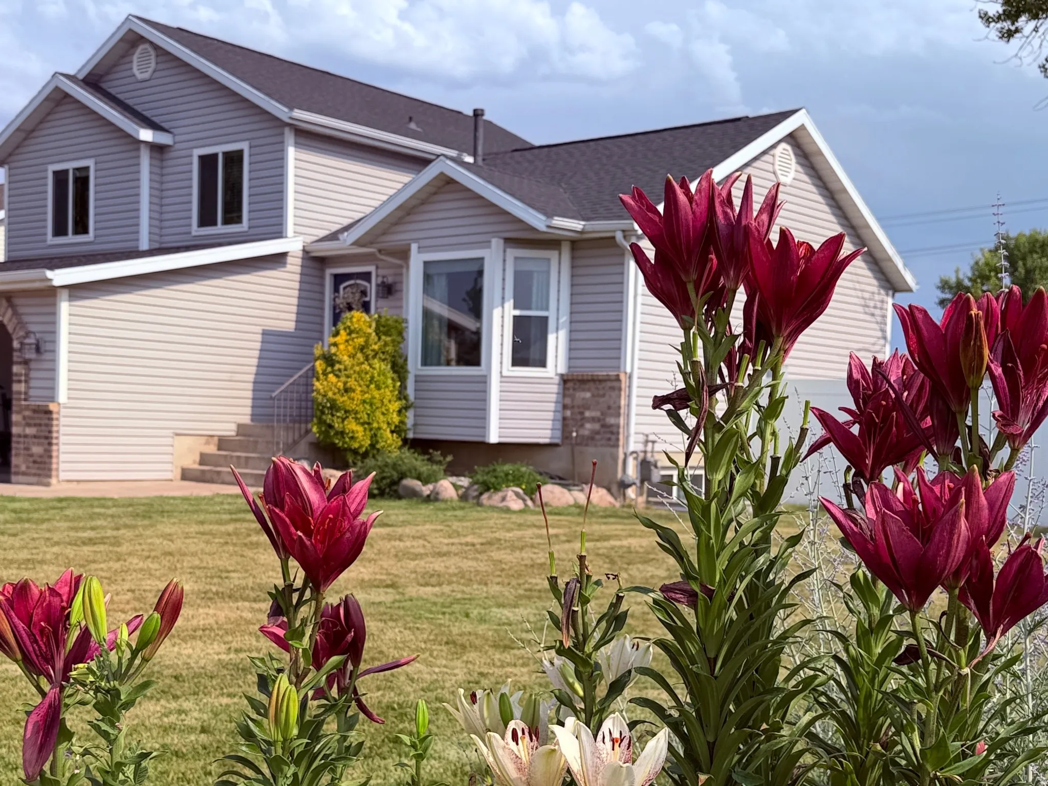 Landscaped front yard featuring vibrant flowering plants and mature greenery