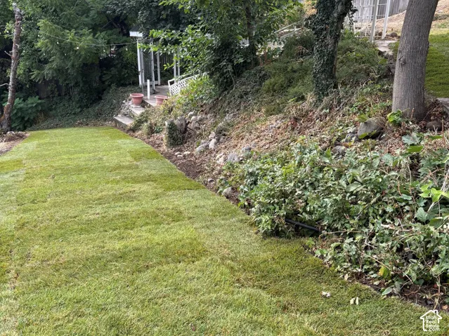 Expansive lawn area with mature trees and established plantings