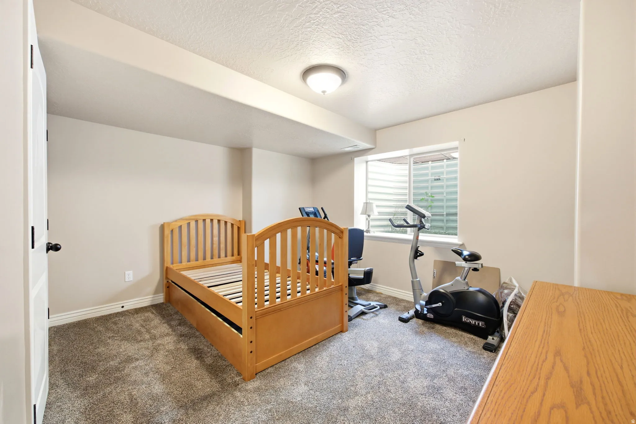 Carpeted room featuring a white trim baseboard, a single window, and neutral wall paint