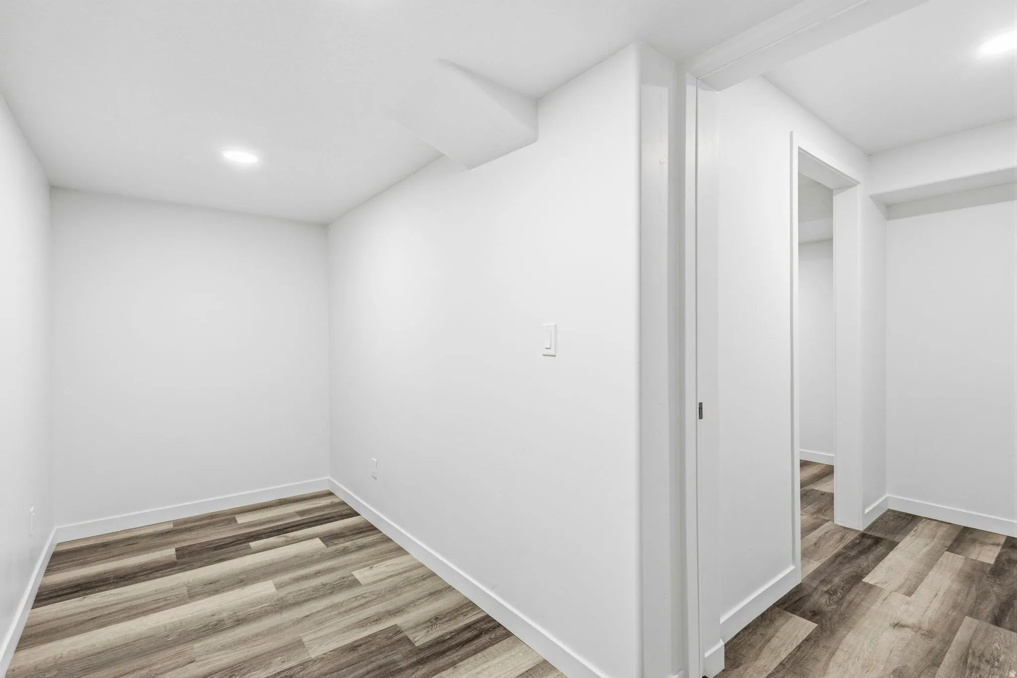 Basement Flex Room
