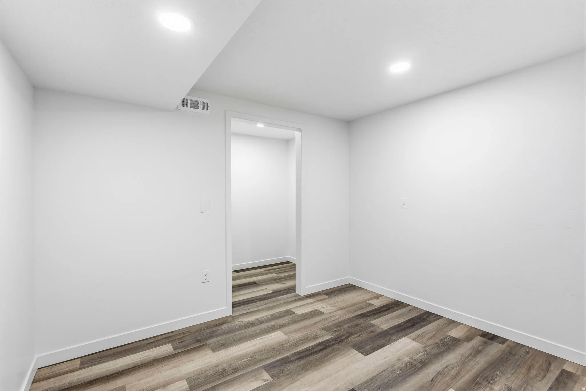 Basement Flex Room