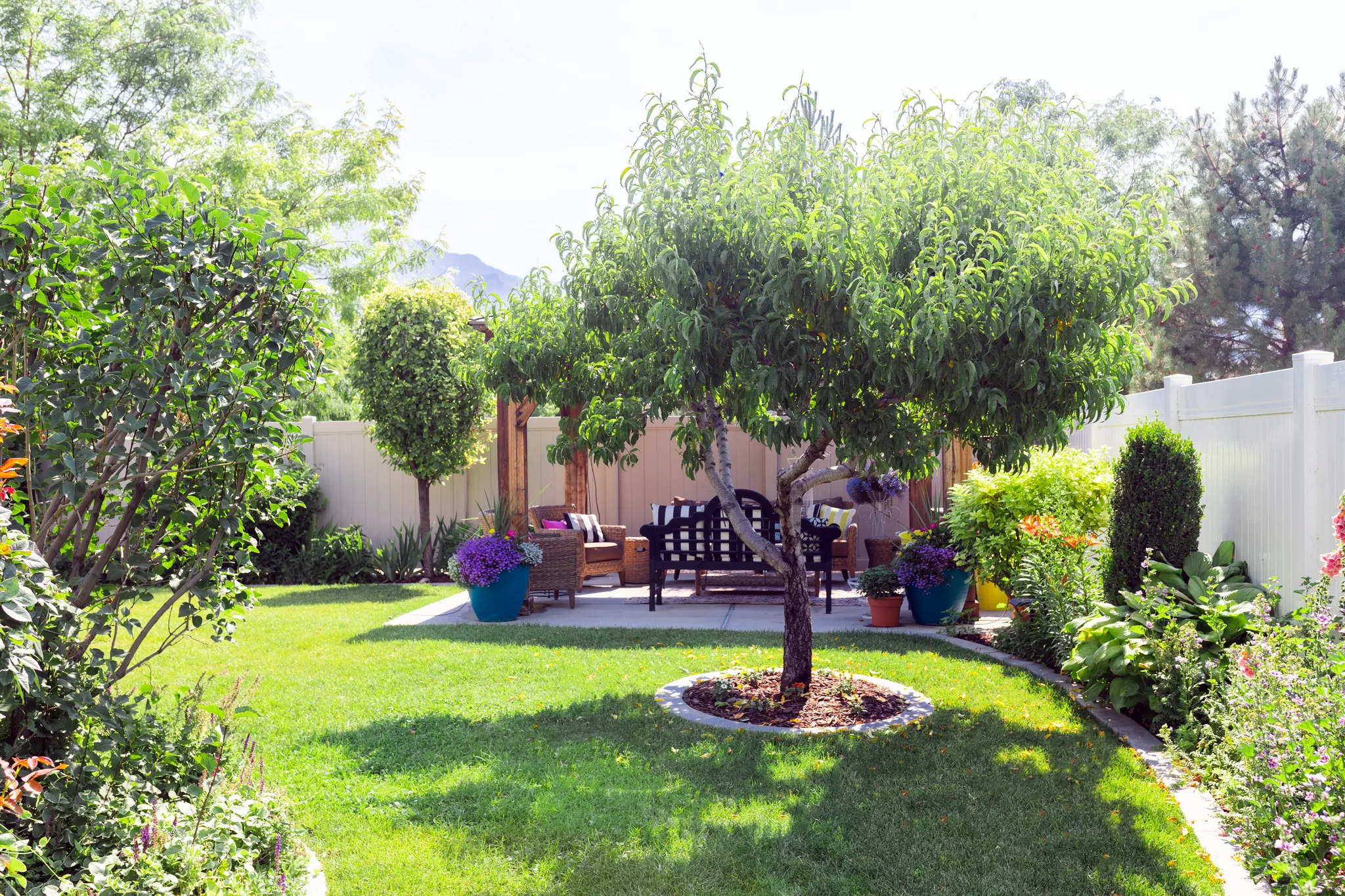 South corner of home with a peach tree, gazebo, and concrete pad.