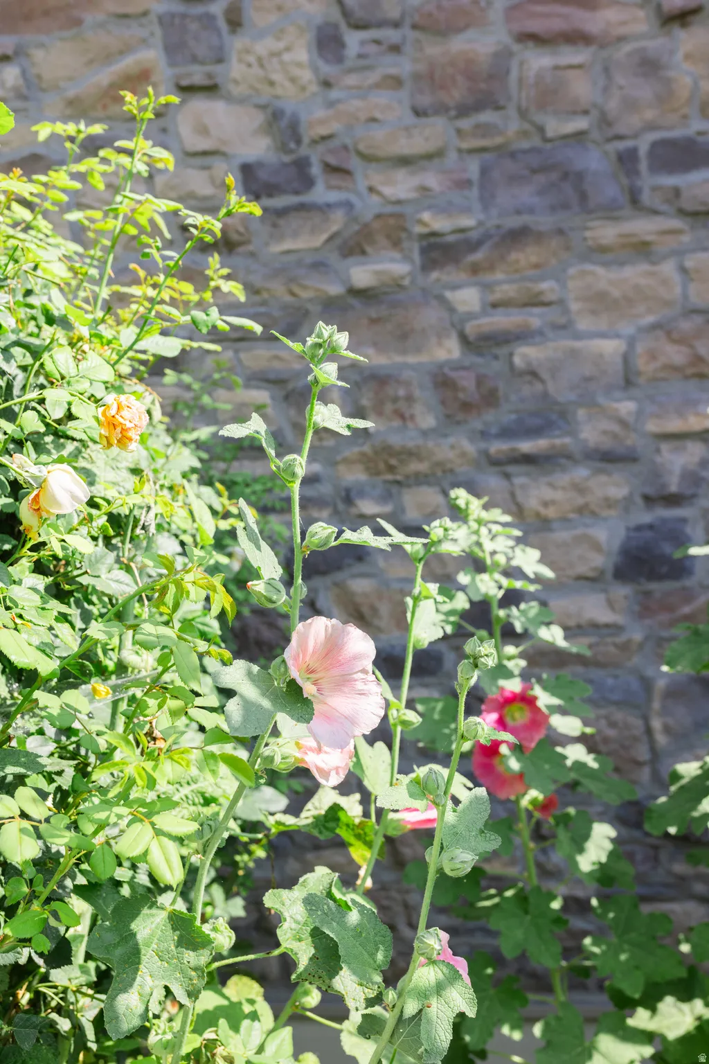 Stone exterior with varied natural tones and texture, complemented by vibrant green foliage and blossoming flowers