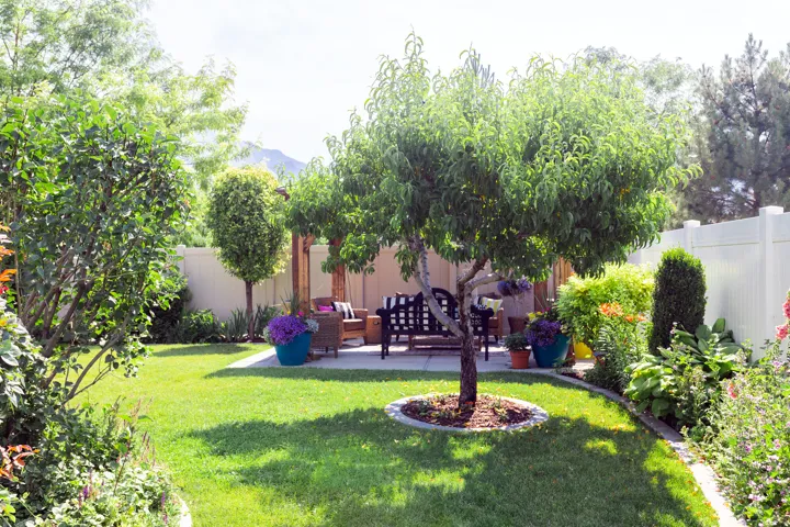 South corner of home with a peach tree, gazebo, and concrete pad.