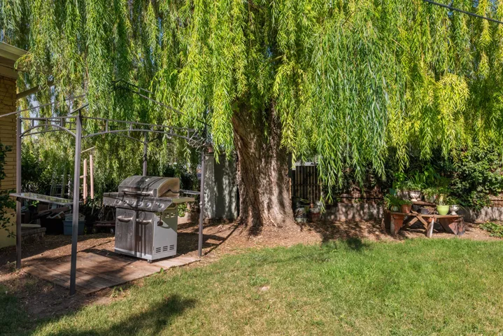 Spacious backyard featuring a large tree with abundant foliage, a manicured lawn, and a stone retaining wall