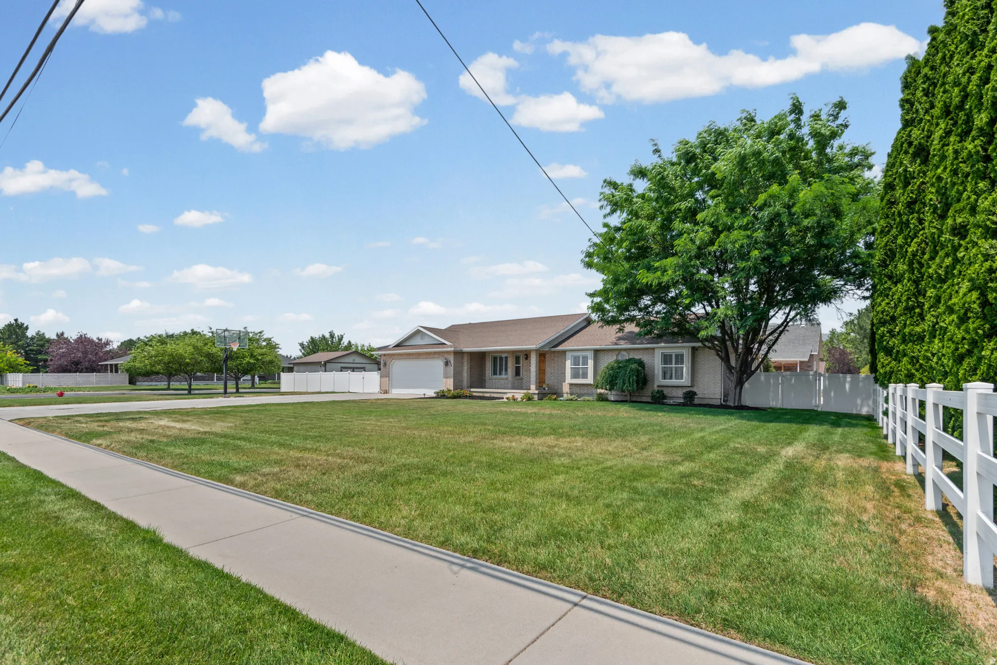 Expansive front lawn with a sidewalk