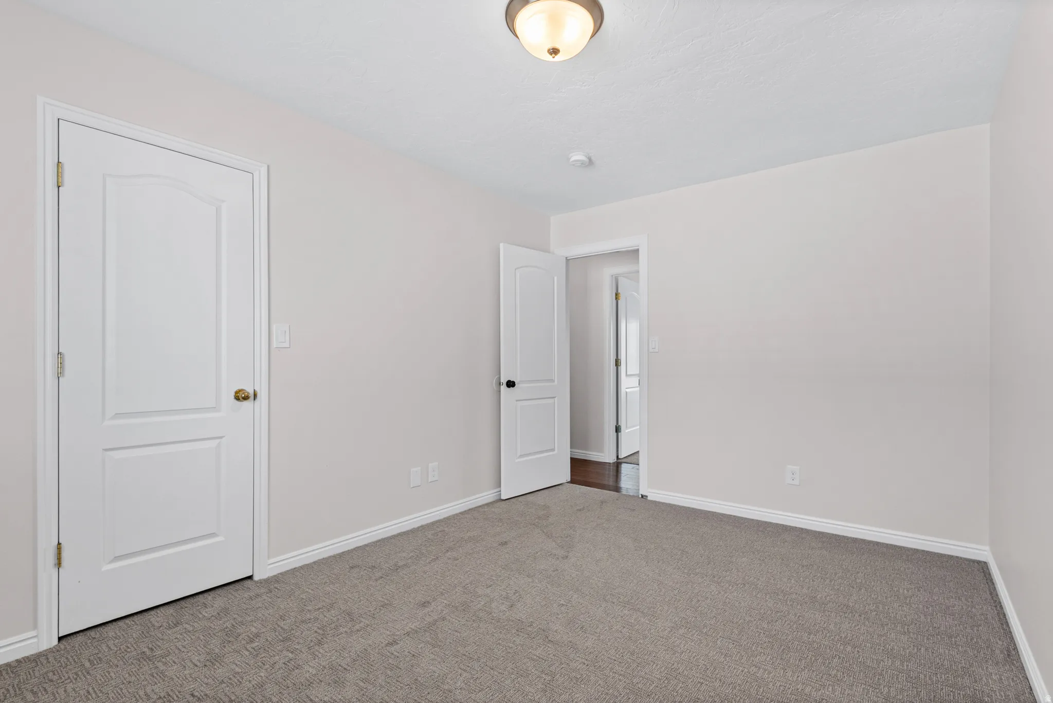 Neutral-toned room featuring a textured gray carpet and white baseboards