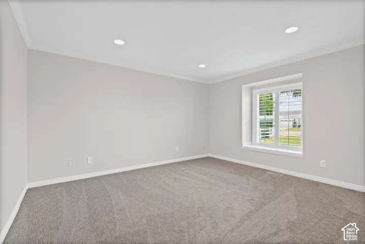 Spacious room featuring neutral carpeting, light-toned walls, and crown molding