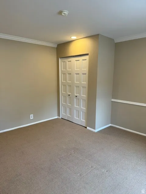 Double bifold closet doors with panel detailing