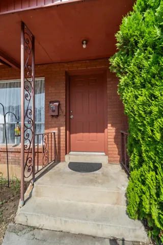 Front entry featuring a panel door, concrete steps, and wrought iron railings