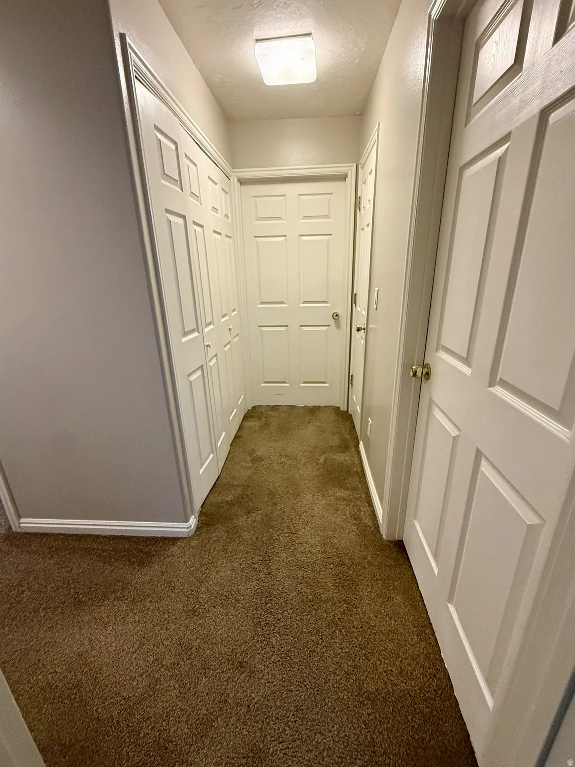 Hallway featuring brown carpeting, white paneled doors, and a flush mount ceiling light fixture