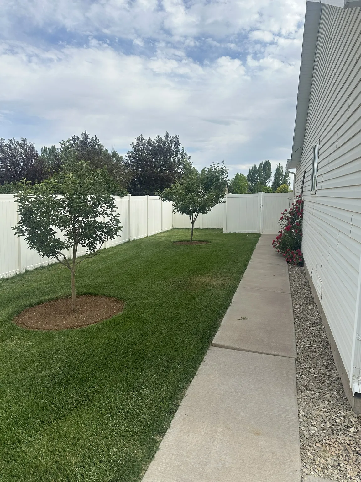 Expansive backyard featuring a manicured lawn, two young trees, and full white vinyl fencing