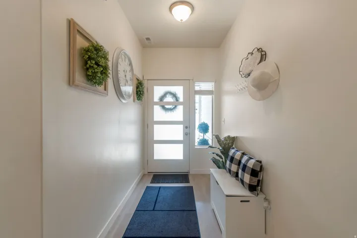 Entryway featuring a contemporary frosted glass paneled door and light wood-finish flooring