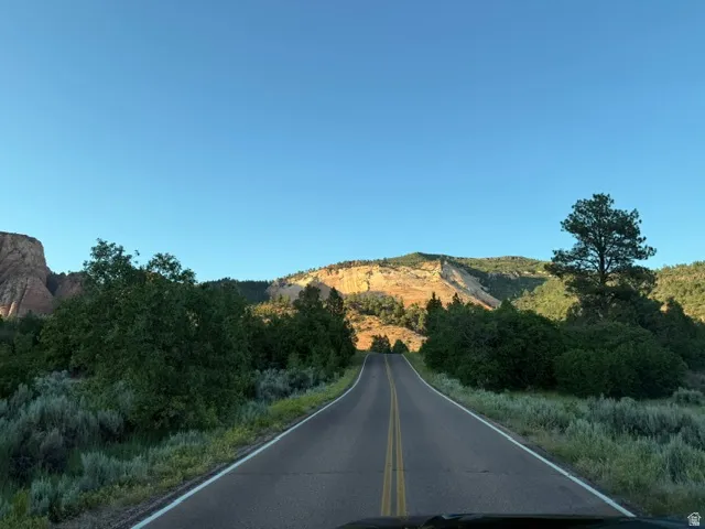 Paved road with double yellow lines, bordered by natural vegetation and mature trees, with distant mountains under a clear sky