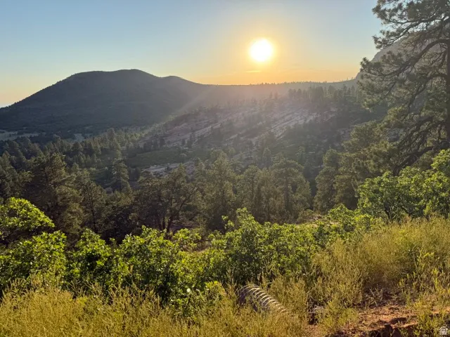 Expansive natural landscape featuring rolling hills and dense tree cover