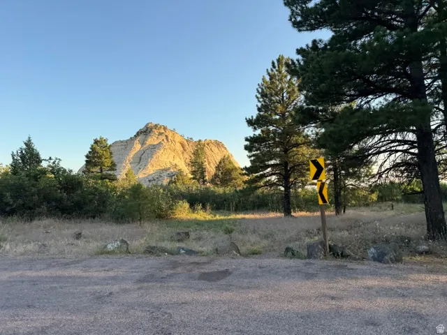 Natural landscape featuring a prominent rock formation, mature evergreen trees, and diverse native vegetation
