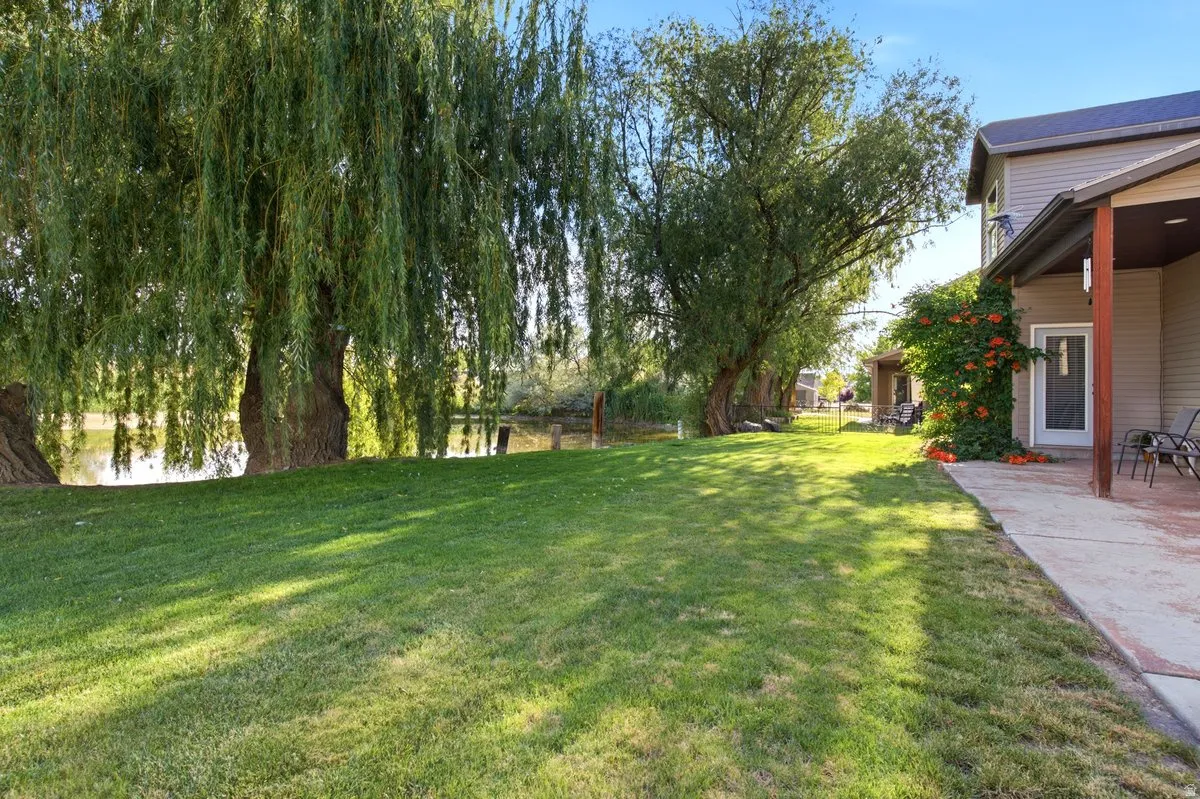 Private back yard with pond which has varied wildlife: Ducks, egret, pelican and  water fowl throughout the year.