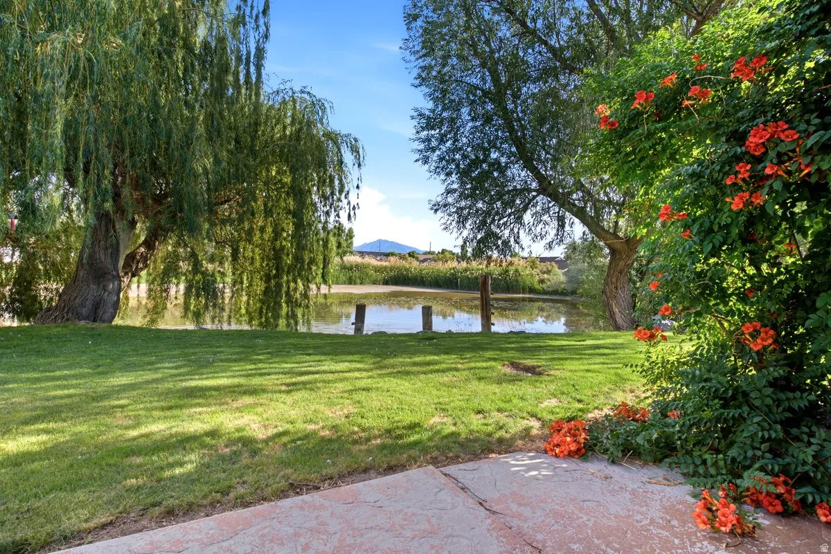 Expansive green lawn with mature weeping willow and other trees bordering a still body of water