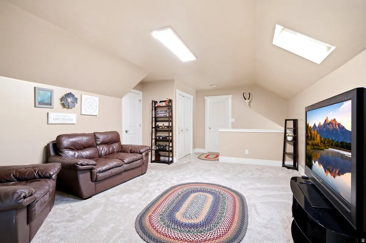 Light and bright family room with vaulted ceiling, two skylights, and storage.
