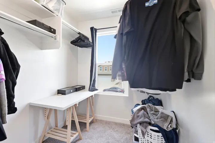 Walk-in closet featuring built-in shelving, hanging rods, an integrated window, and carpet flooring