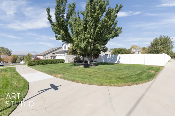 Expansive corner lot featuring a well-maintained lawn and mature tree