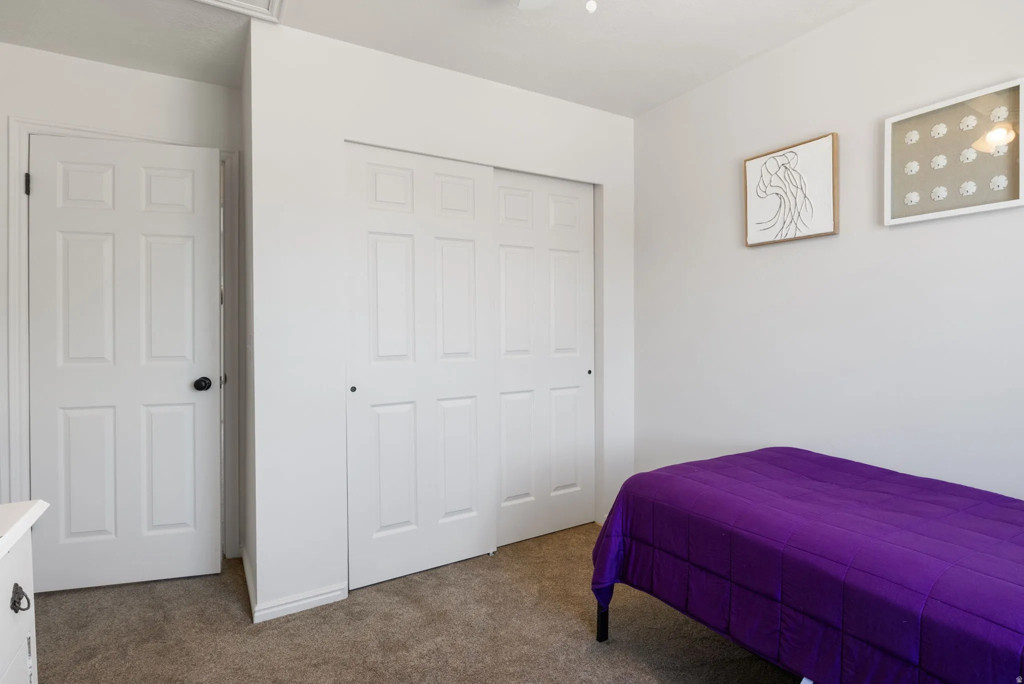 Neutral wall color with white trim, paneled doors, and carpeted flooring