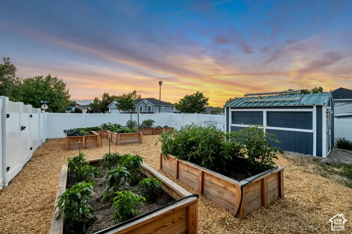 Expansive garden area featuring multiple raised wooden planter beds with drip irrigation