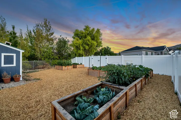 Expansive backyard garden area featuring multiple raised wooden planter beds, a blue storage shed with white trim, and a full white privacy fence