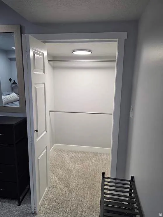 Recessed closet with light gray carpeting, integrated overhead lighting, and built-in clothes rods