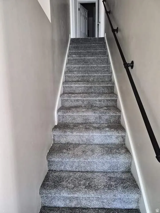 Carpeted staircase with light gray walls and a black wall-mounted handrail