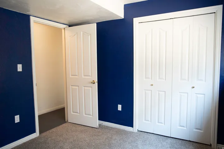 Room featuring dark blue walls, light carpet flooring, and white trim