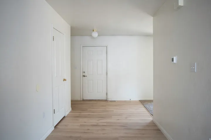 Entryway featuring light wood-finish flooring, white paneled doors, and a ceiling-mounted globe light fixture