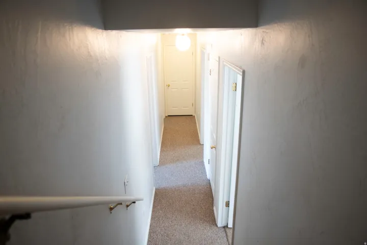 Carpeted hallway featuring a white handrail with brass-finish brackets, white interior doors with brass-finish hardware, and a ceiling-mounted light fixture