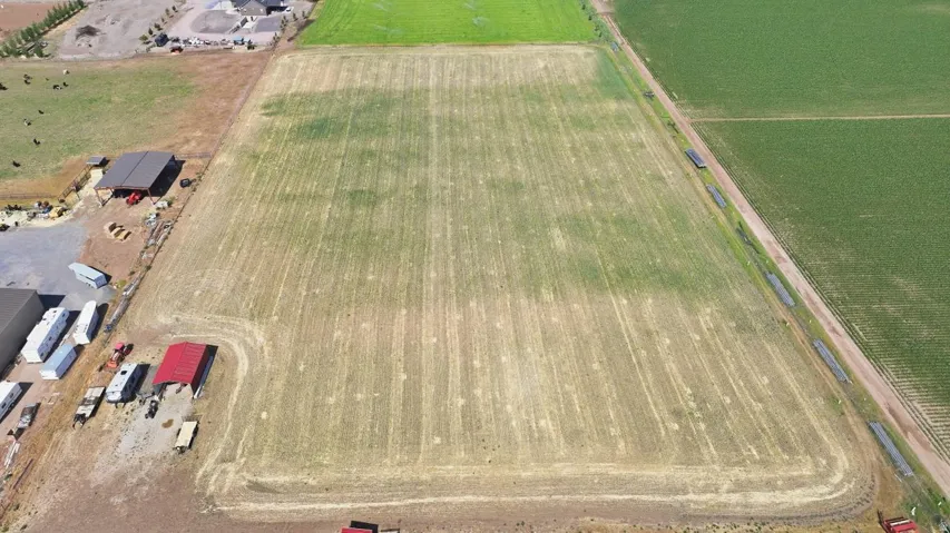 Expansive agricultural land featuring a rectangular field bordered by a dirt track and green crops