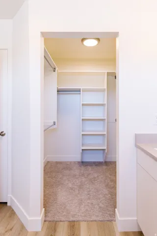 Walk-in closet with built-in shelving, hanging rods, recessed ceiling light, and carpet flooring