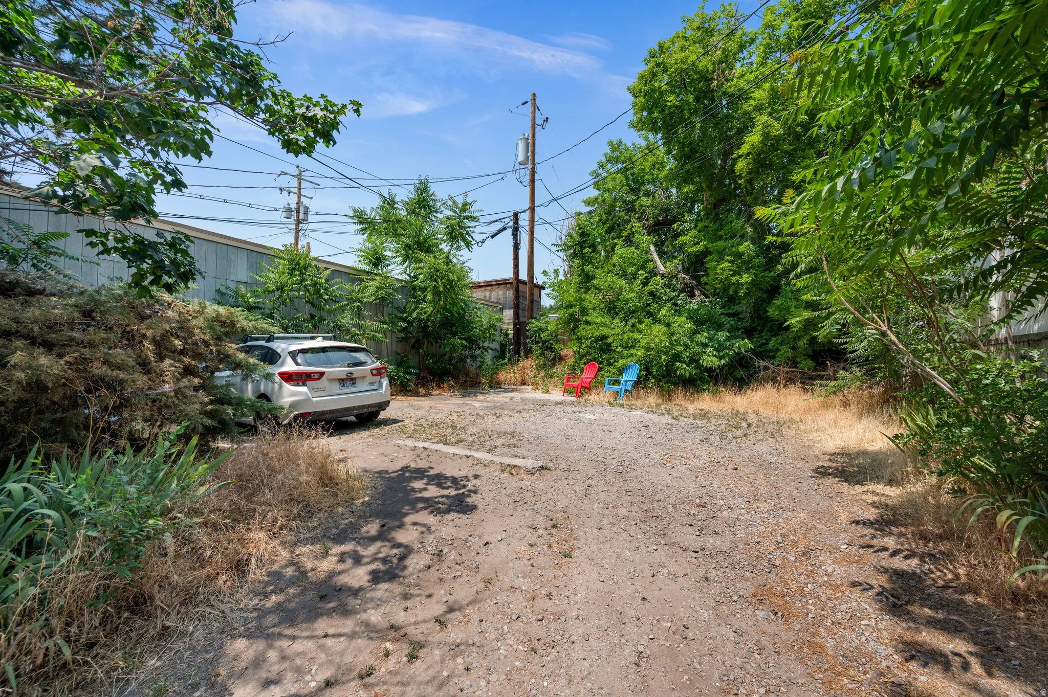 Gravel surface with surrounding mature trees and vegetation