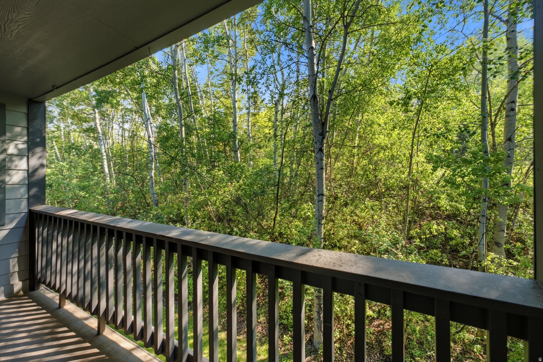 Balcony with dark wood railing providing tree-level exposure to natural surroundings
