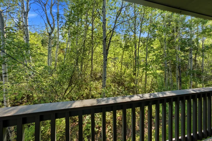 Exterior balcony with dark wood railing providing a natural tree-lined backdrop