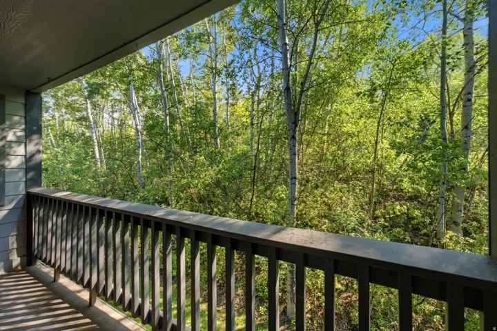 Balcony with dark wood railing providing tree-level exposure to natural surroundings