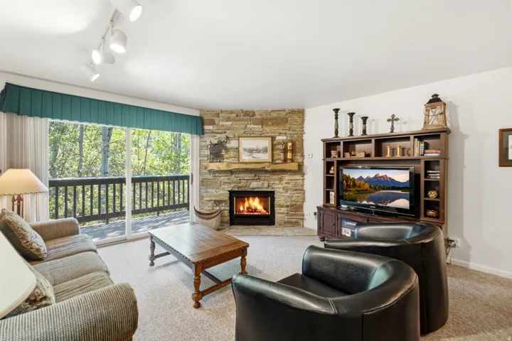 Living area featuring a stone-clad fireplace with a wood mantel, a sliding glass door opening to a private balcony, track lighting, and soft carpet flooring