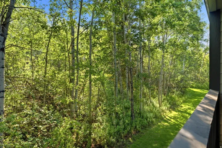 Lush natural landscaping with mature trees and a manicured lawn area