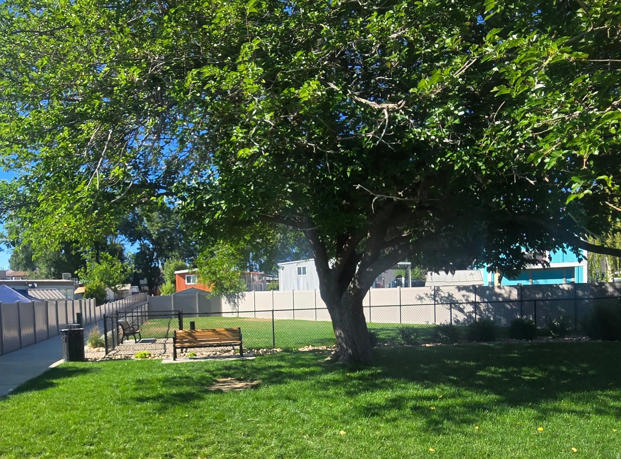Expansive green space featuring a mature shade tree and manicured lawn