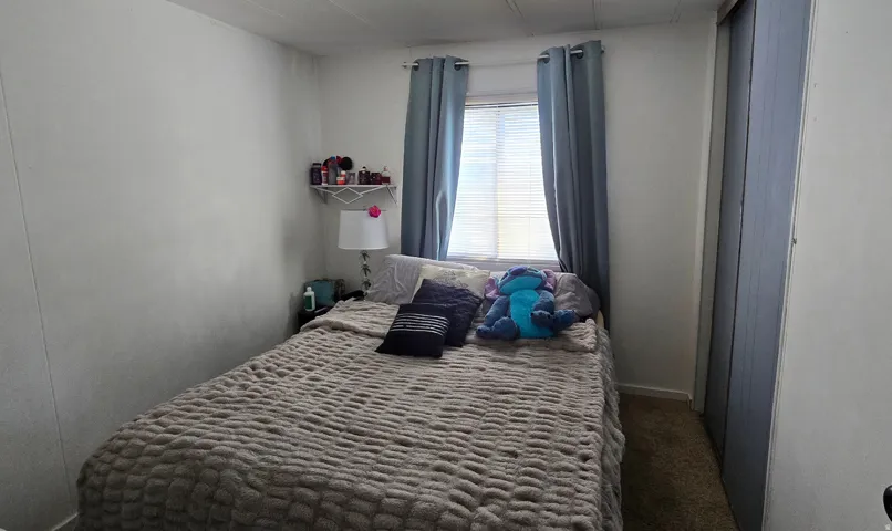 Bright interior space featuring a window with blinds, soft window treatments, a built-in corner shelf, and carpet flooring