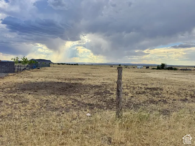 Expansive open field with natural vegetation