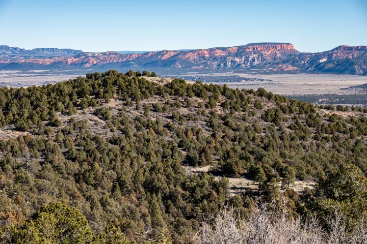 Expansive natural landscape featuring rolling hills covered in evergreen trees