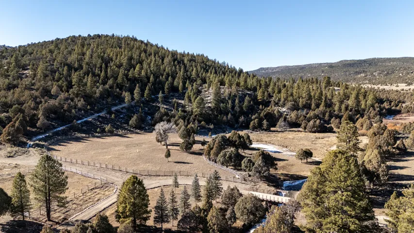 Expansive forested landscape featuring a valley, surrounding hills, mature pine trees, a dirt road, and a timber bridge