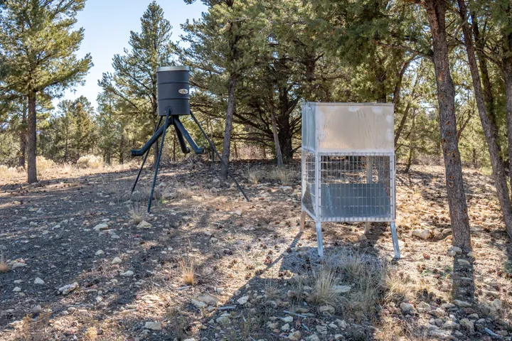 Hunting blind and feeder
